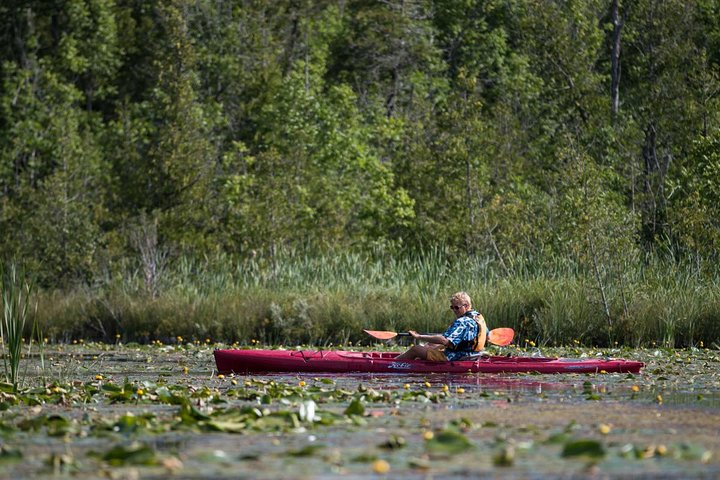 Kayaking through a lily paddy field